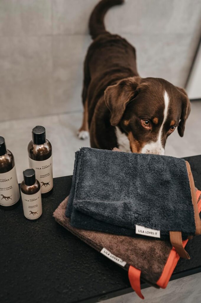 Lila Loves It Mikrofaser-Hundehandtuch
