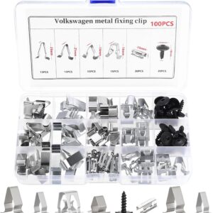 Metall-Clips für Auto-Innenverkleidung (100 Stk.)