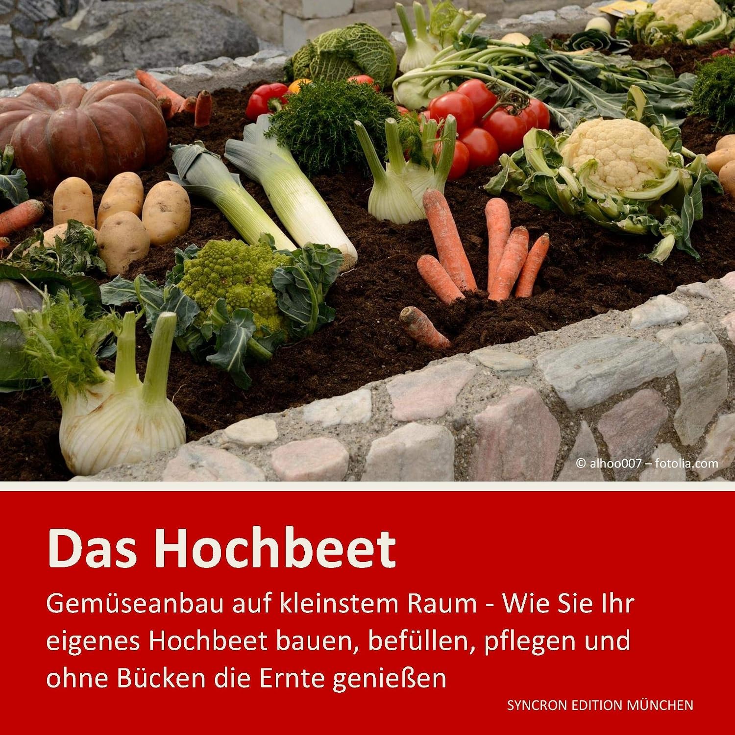 Hochbeet-Ratgeber: Gemüseanbau einfach & platzsparend