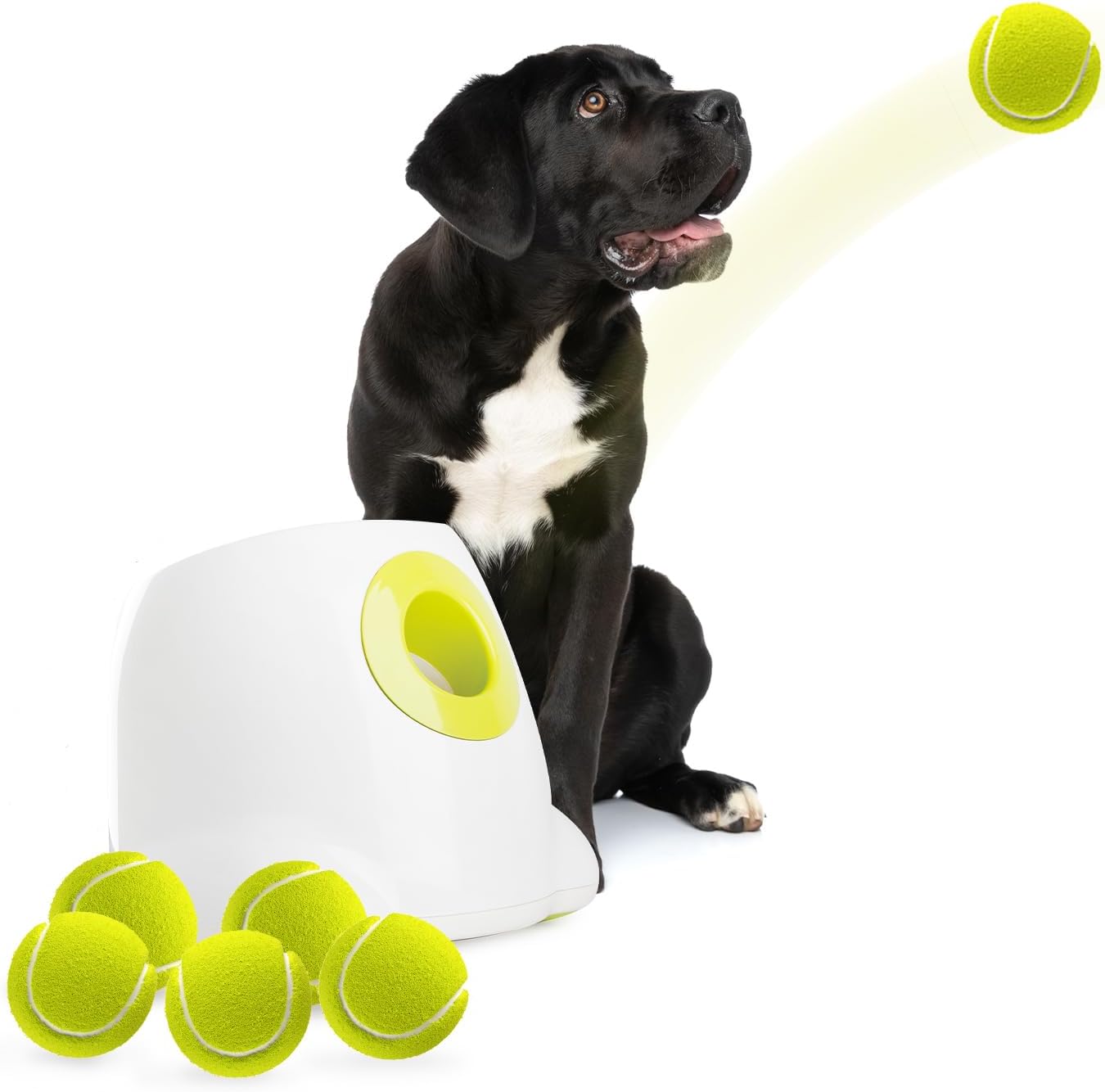 ALL FOR PAWS Ballwerfer Maxi für große Hunde