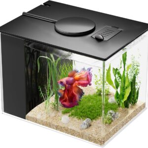Mini Aquarium 3,7L Komplettset Schwarz mit Filter & LED