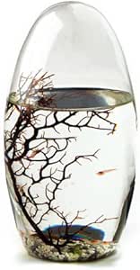 ECOSPHERE Ei 13cm Weiß – Mini-Aquarium mit Garnelen