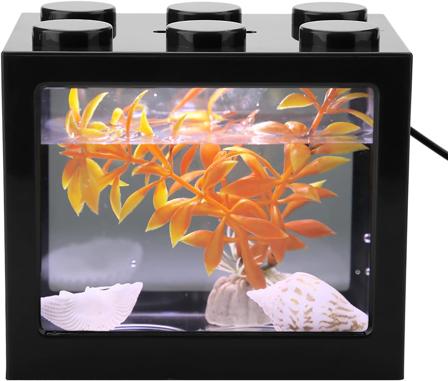 Qcwwy Acryl-Mini-Aquarium mit USB-LED, schwarz