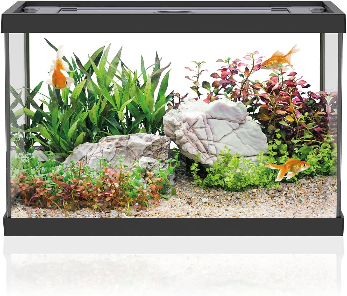 AQPET One Mini Aquarium 20 Liter Set schwarz – inkl. Filter & Zubehör
