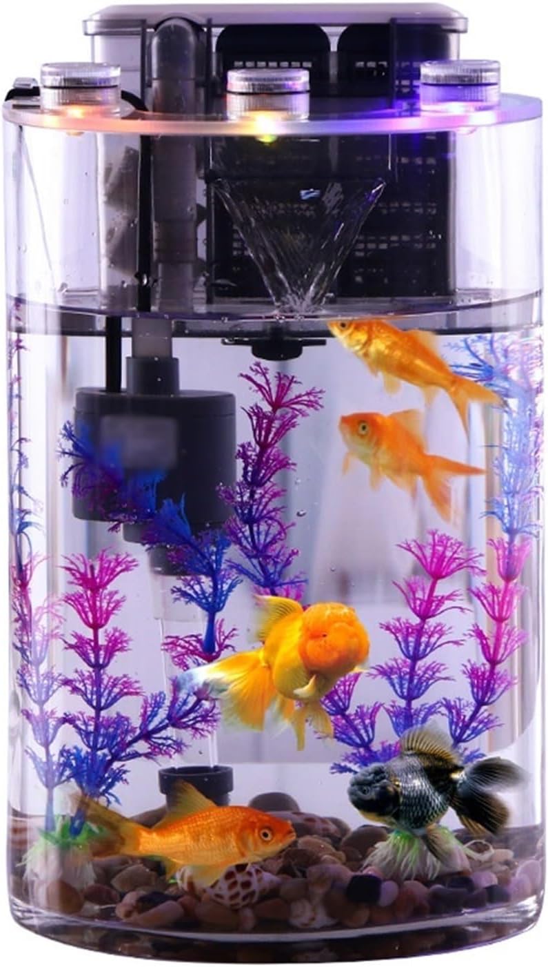 Zylindrisches Mini-Aquarium mit Filter & LEDs