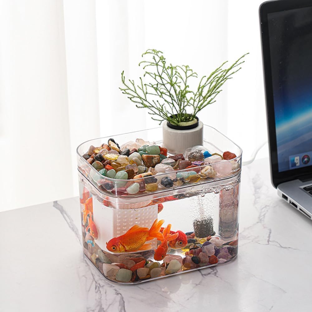 Transparentes Mini-Aquarium mit Deckel & USB-Pumpe