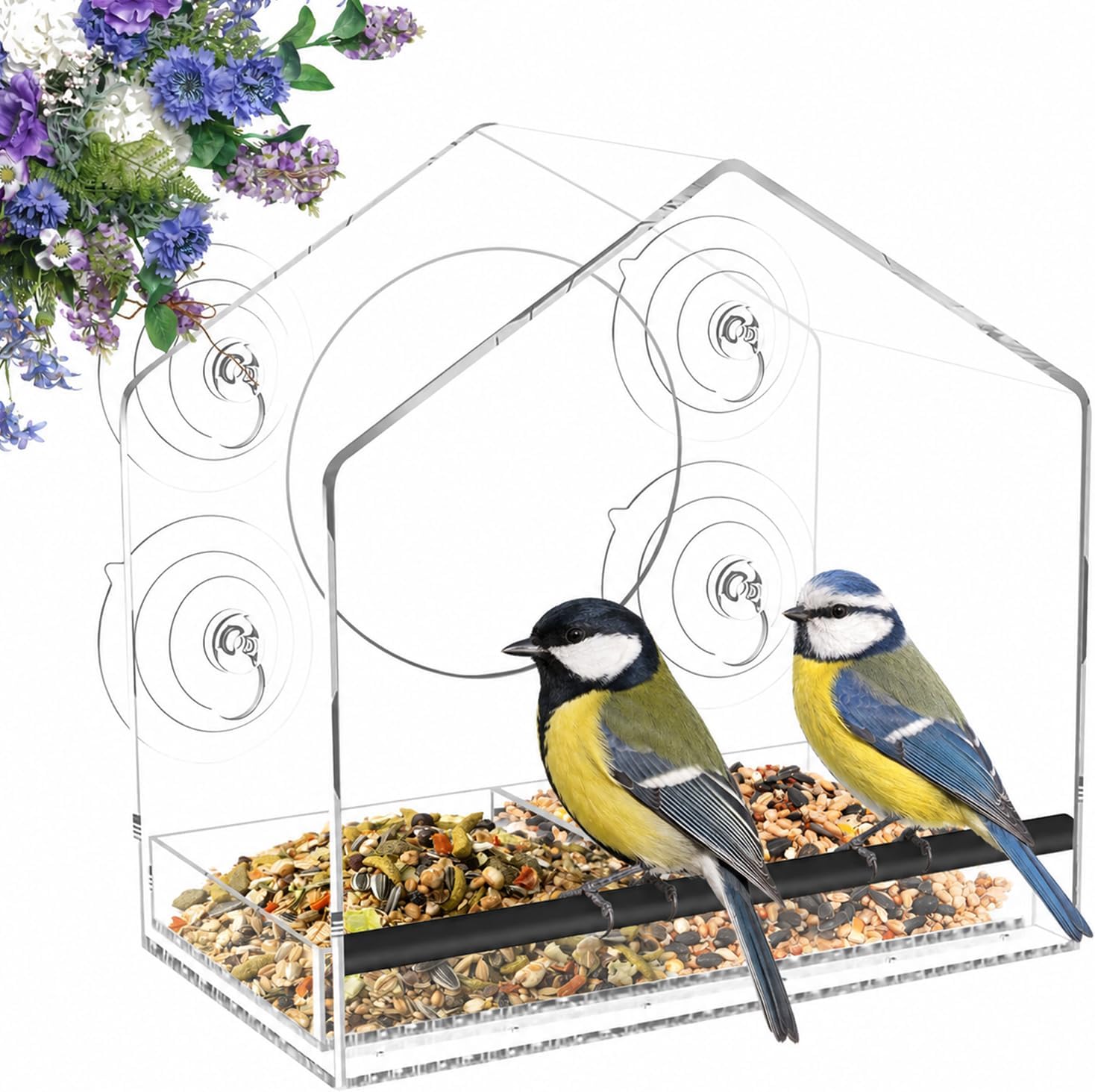 Vogelfutterhaus für Fenster mit Saugnäpfen