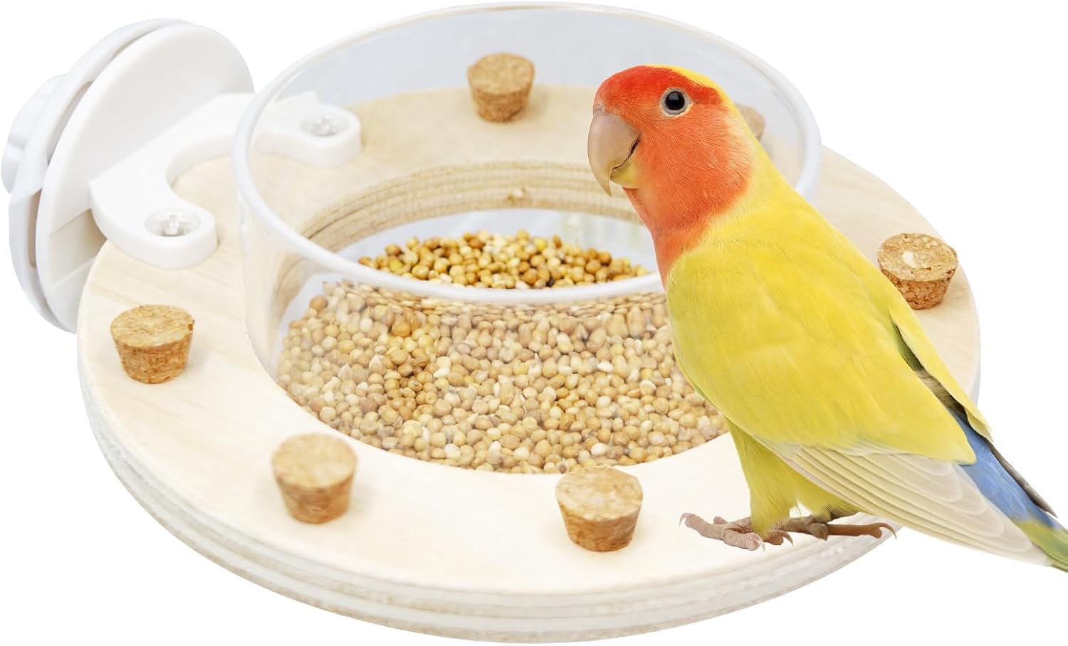 Vogelfutterbecher Acryl mit Holzrahmen & Kork – für Wellensittiche