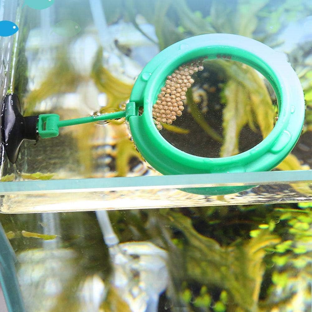 AQUA Futterring für Aquarien – Grüner Futterspender
