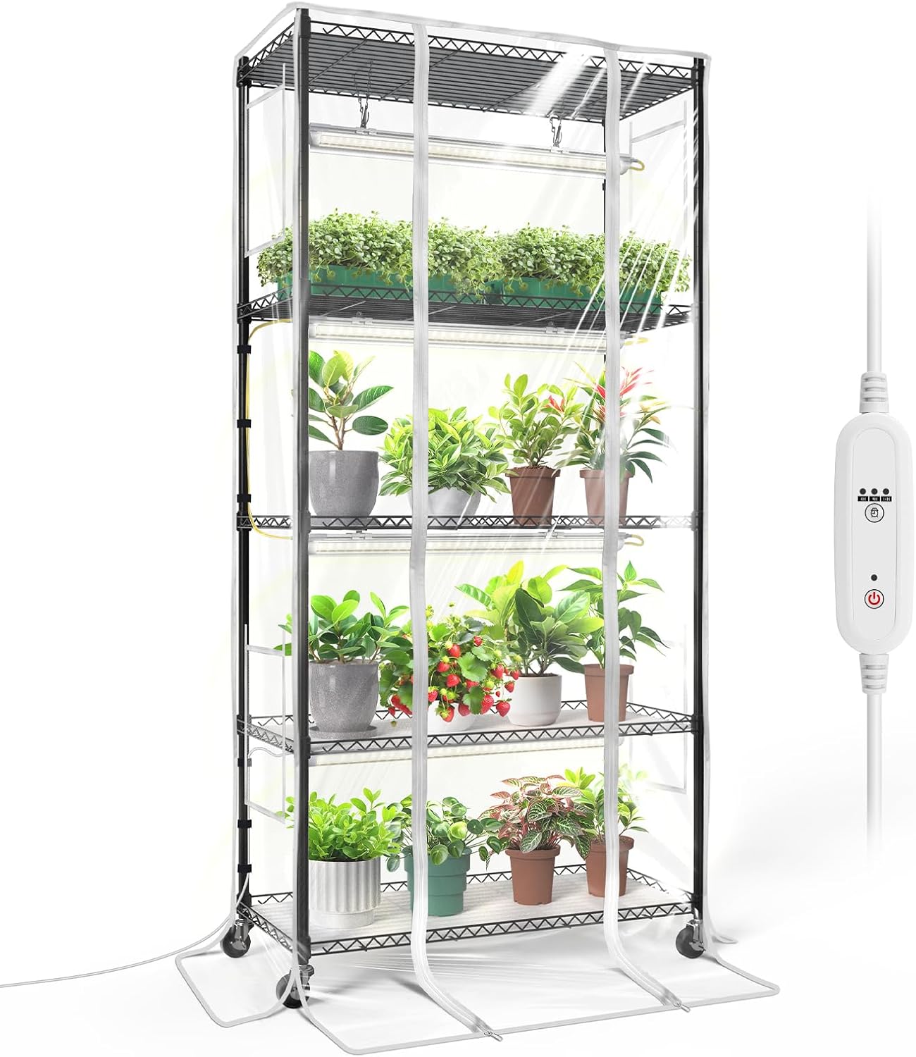 Bstrip Mini-Gewächshaus mit LED-Licht & Timer