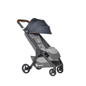 Ergobaby Metro+ Deluxe Buggy ab Geburt bis 22 kg