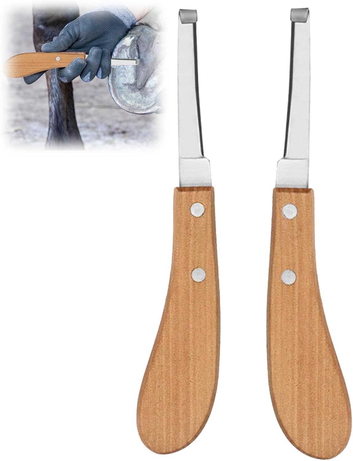 Edelstahl-Hufmesser 2er-Set 21,5 cm, robust & präzise